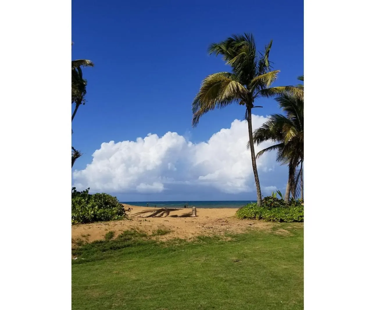 Διαμέρισμα Beautiful Villa At The Wyndham Rio Mar Margaritaville Beach Resort Rio Grande